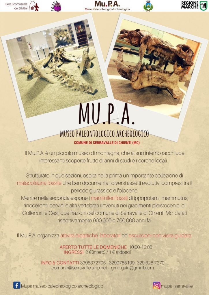 Museo Paleontologico Archeologico